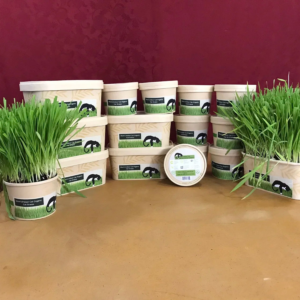 Compostable Combo Pack