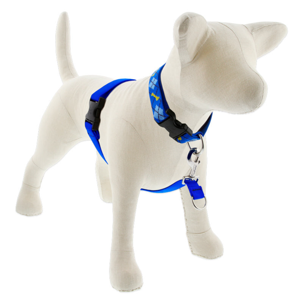 Basic Solids No Pull Training Harness
