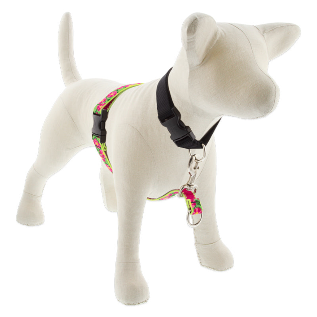 Original Designs No Pull Training Harness
