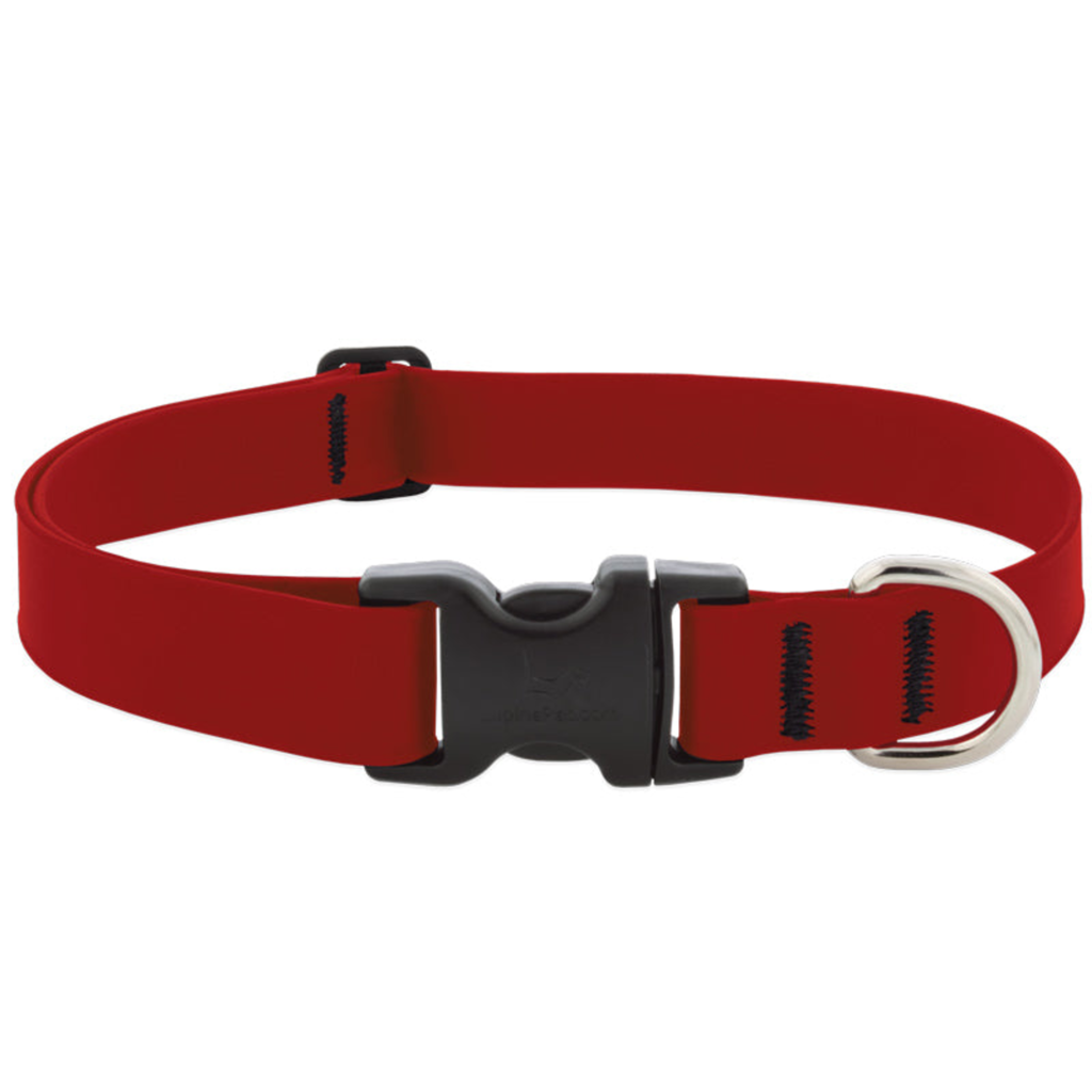 Splash Waterproof Dog Collar