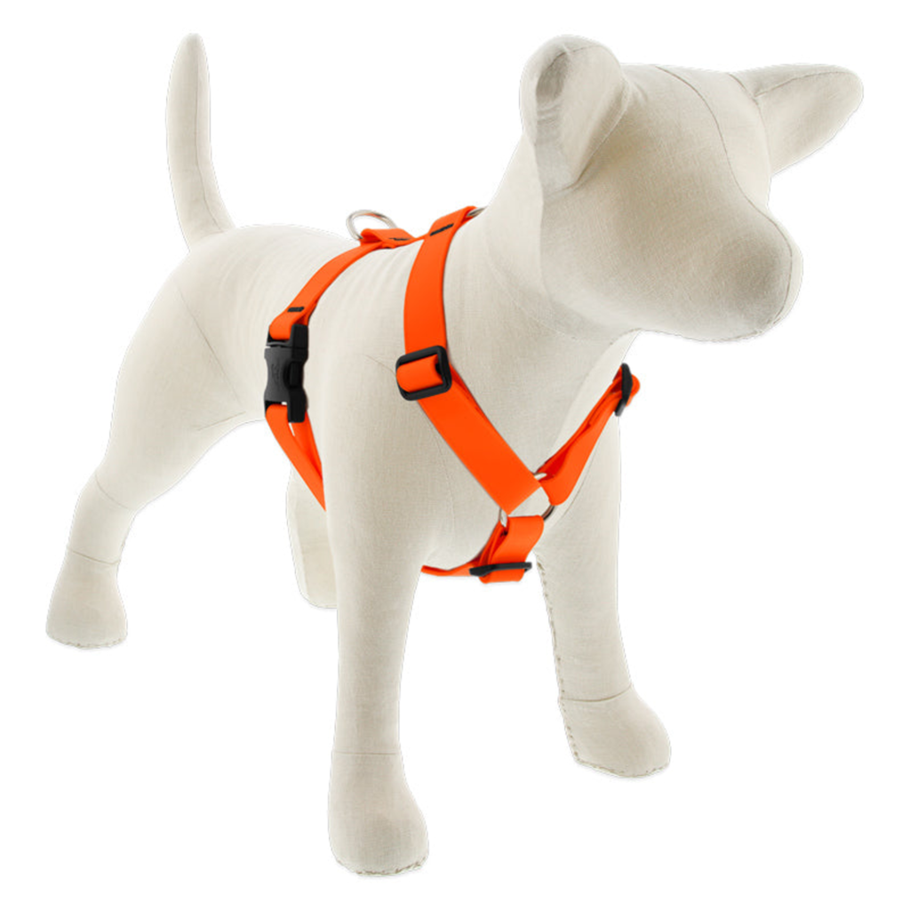 Splash Waterproof Roman Dog Harness