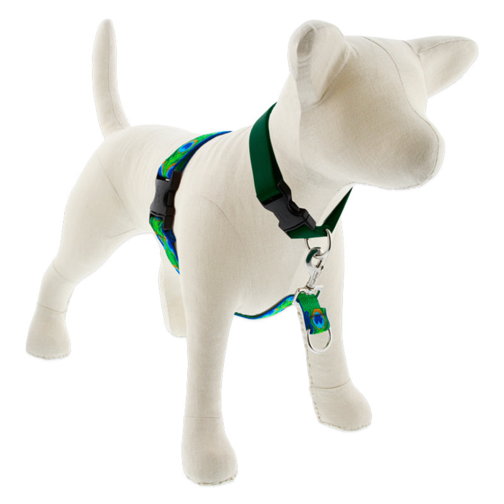 Original Designs No Pull Training Harness