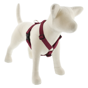 Eco Roman Dog Harness