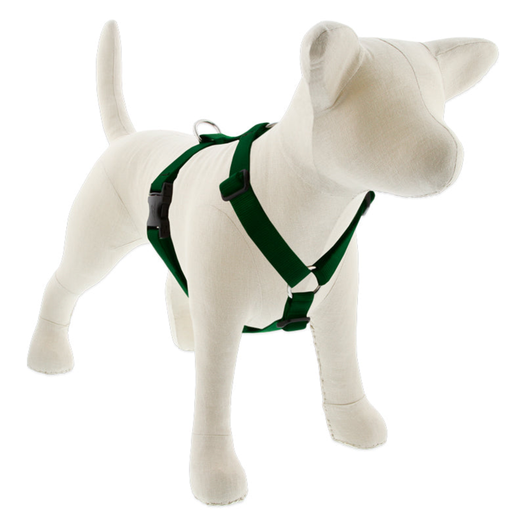 Basic Solids Roman Dog Harness