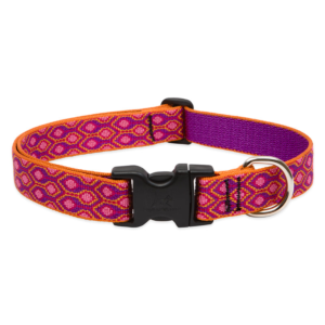Original Designs Dog Collar