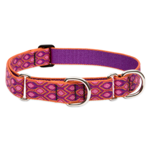 Original Designs Martingale Collar for Training