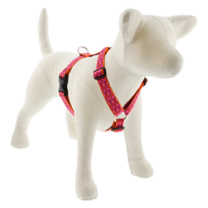 Original Designs Roman Dog Harness