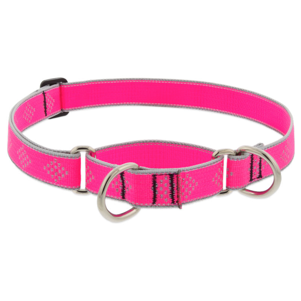 Reflective Martingale Collar for Training