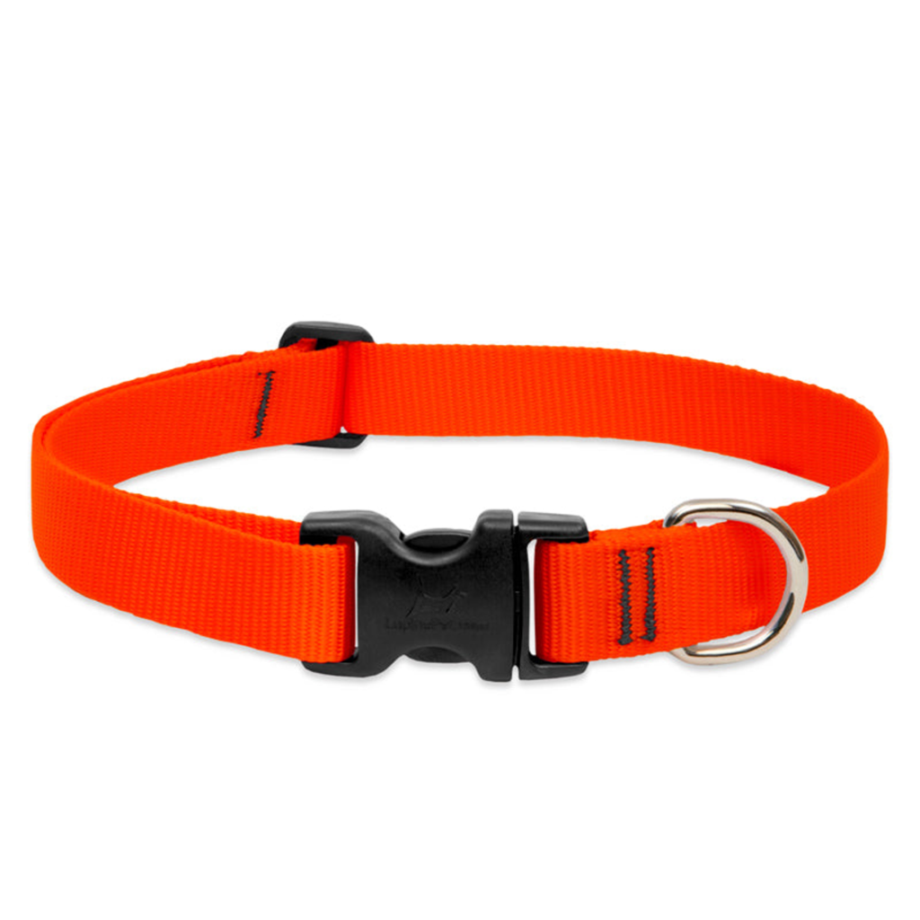 Basic Solids Dog Collar
