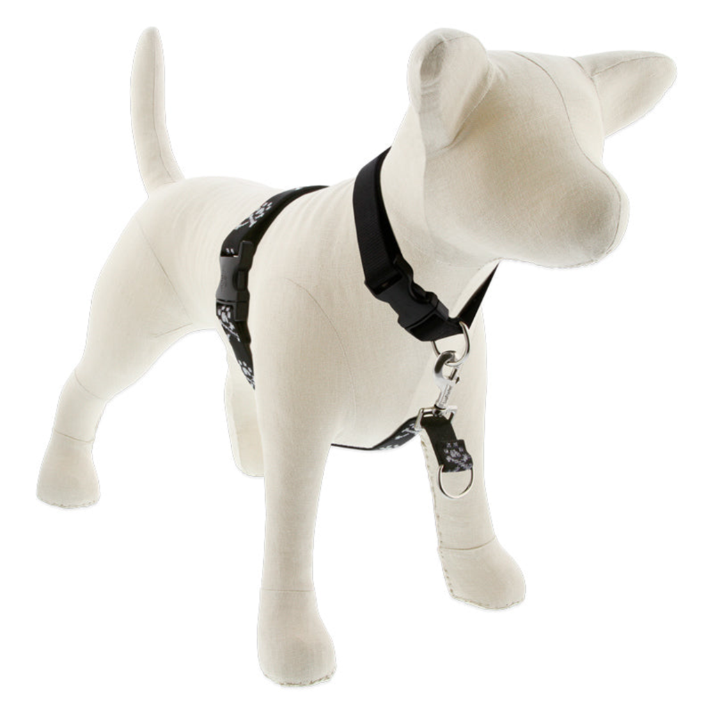Original Designs No Pull Training Harness