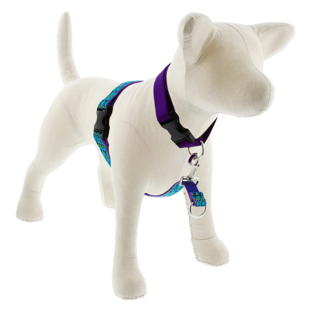 Original Designs No Pull Training Harness for Dogs, style 2, style 3, style 4, style 5, style 6, style 7, style 8, style 9, style 10, style 11