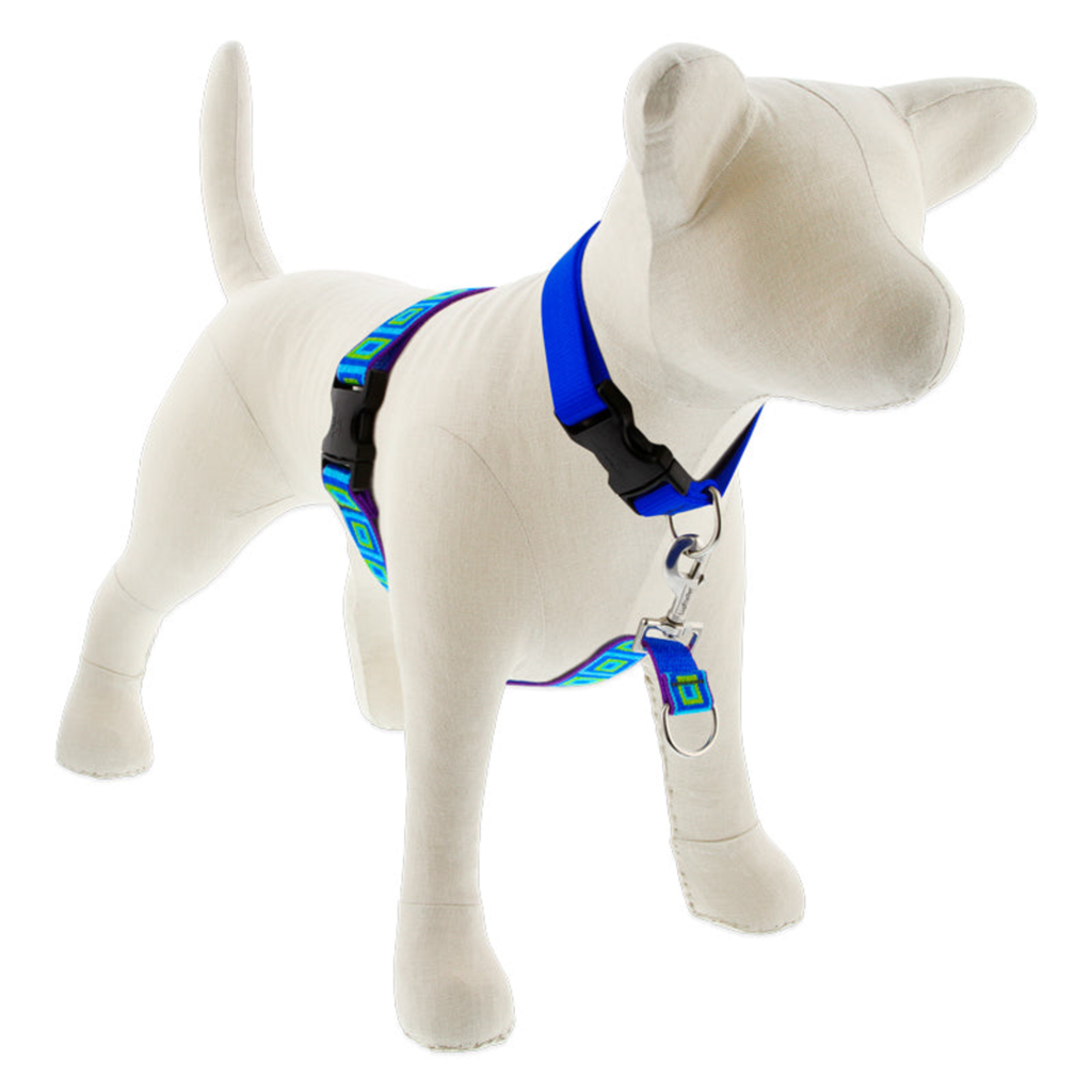Original Designs No Pull Training Harness