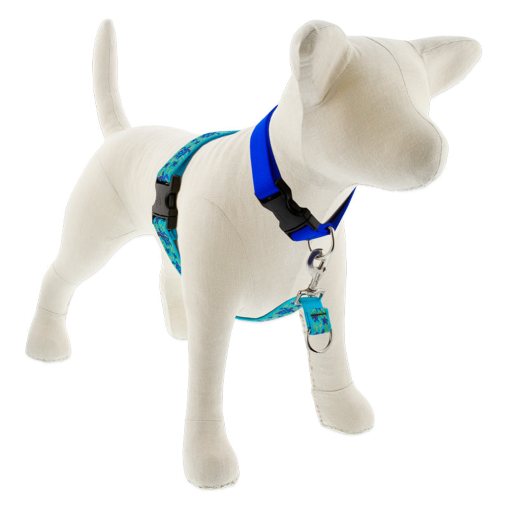 Original Designs No Pull Training Harness