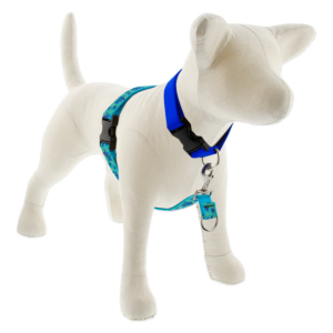 Original Designs No Pull Training Harness