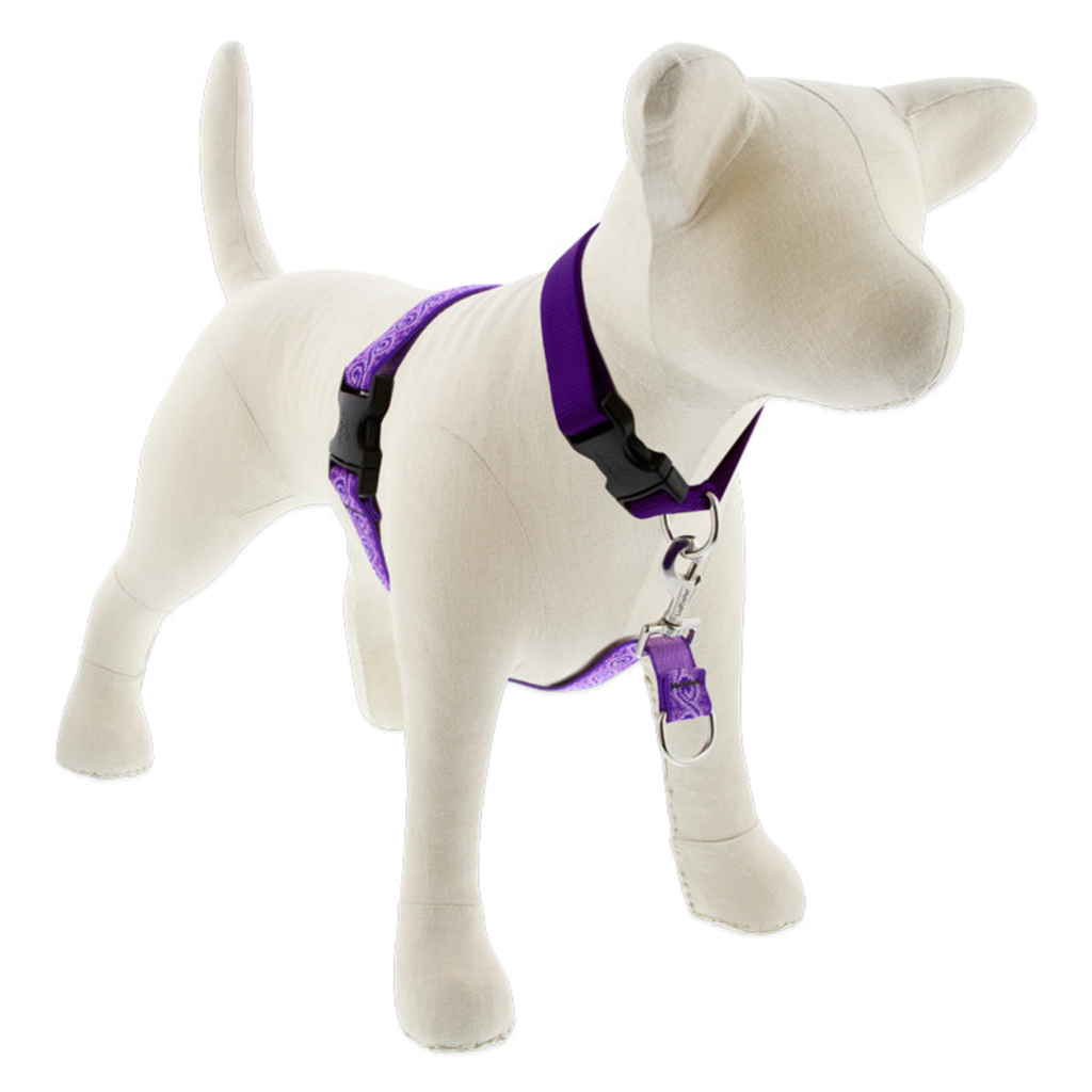 Original Designs No Pull Training Harness