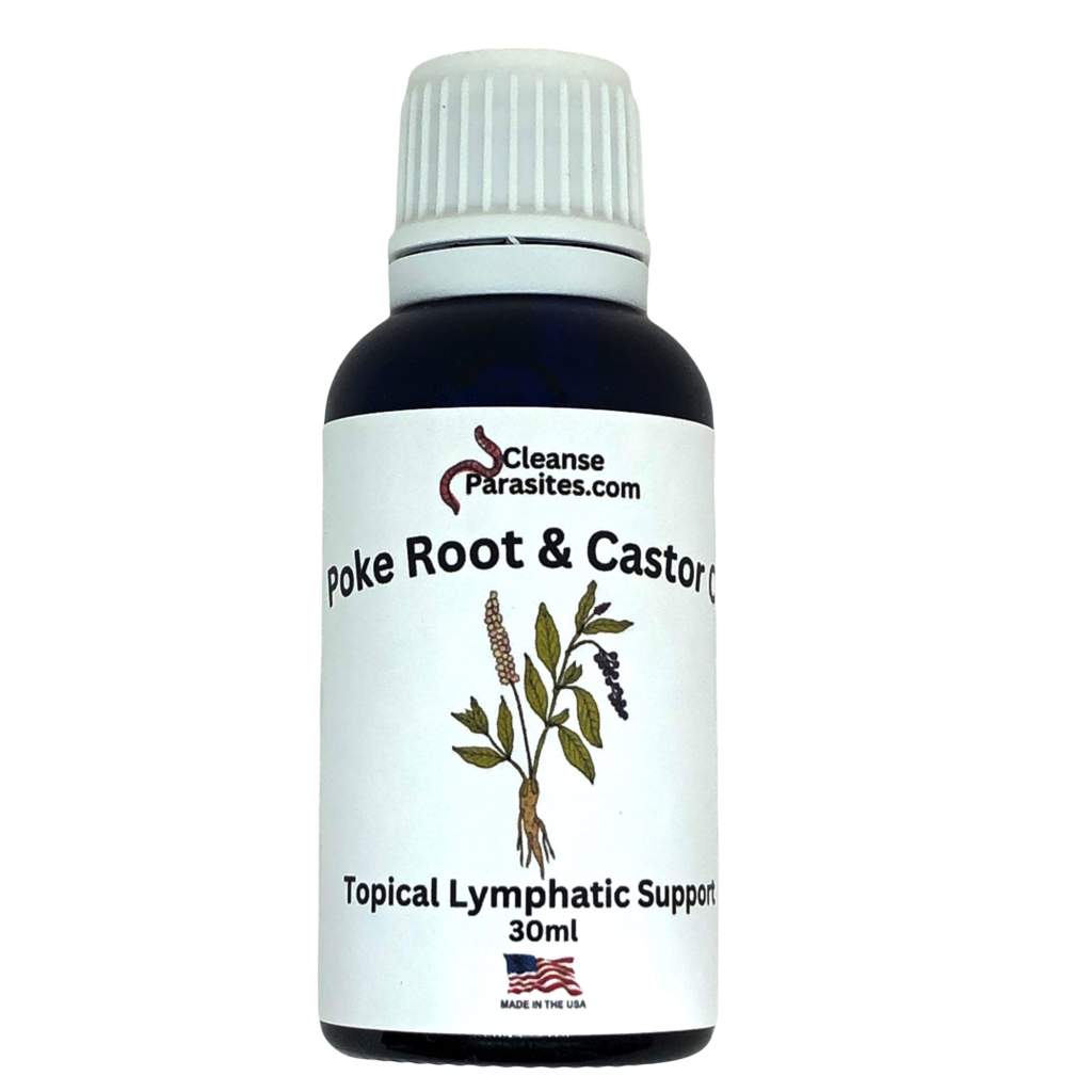 Poke Root Infused Castor Oil - Lymph Mover