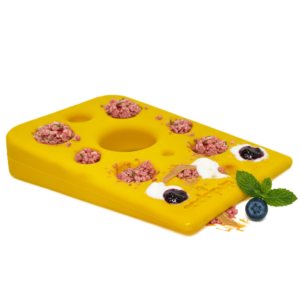 Swiss Cheese Wedge Nylon Dog Chew Toy Aggressive Chewers