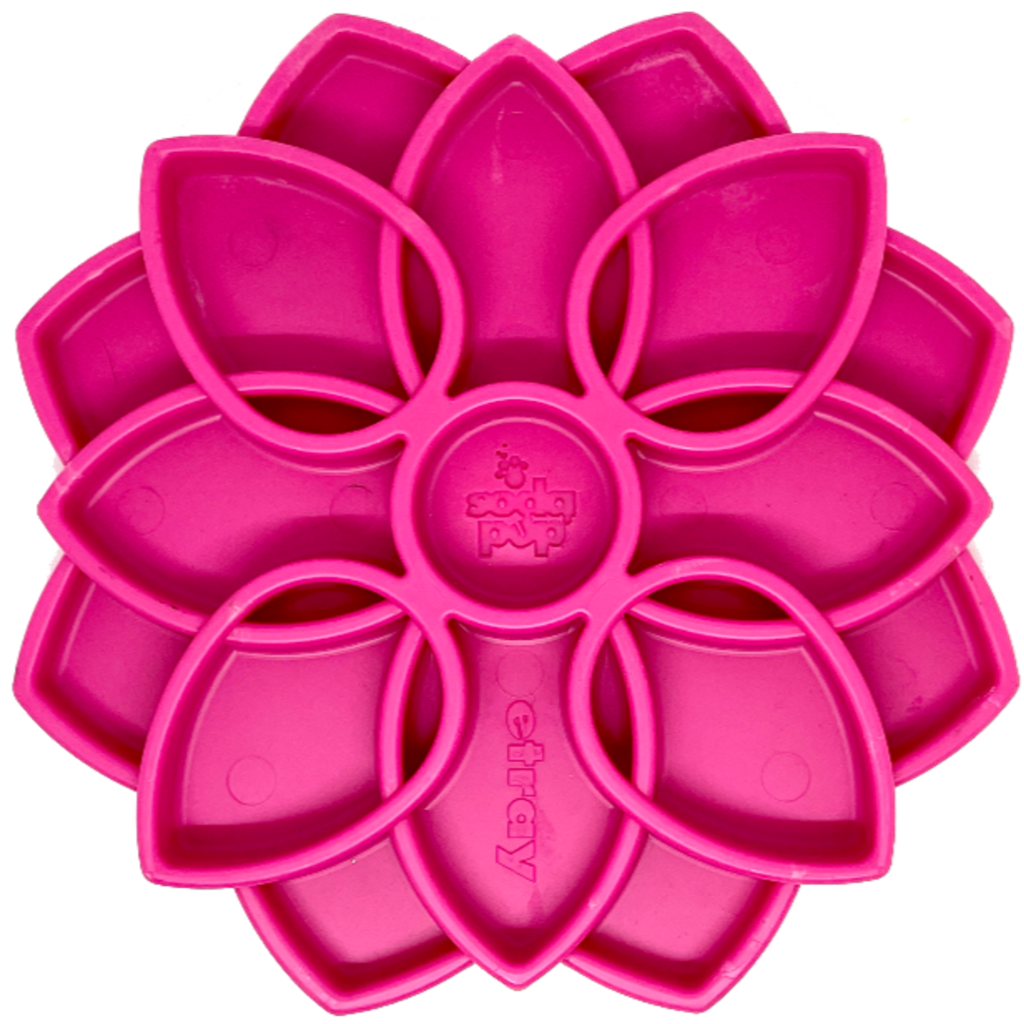 Mandala Design eTray Enrichment Tray for Dogs