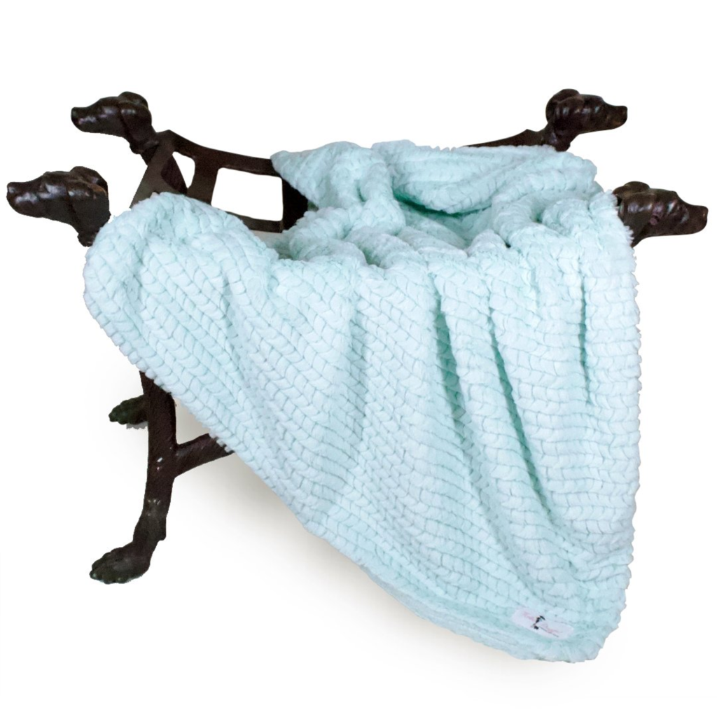 Paris Dog Blanket (Ice Throw)