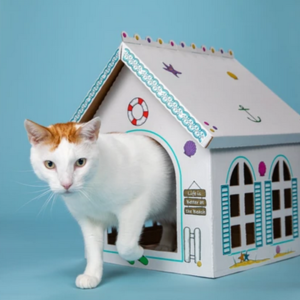 Breezy Beach Cottage Cardboard Cat Playhouse, size Pack of 5