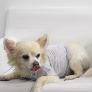 Doggy Tee
